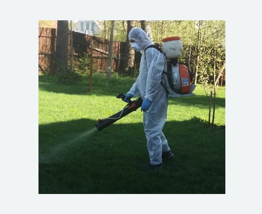 Обработка территории от клещей в Острогожске