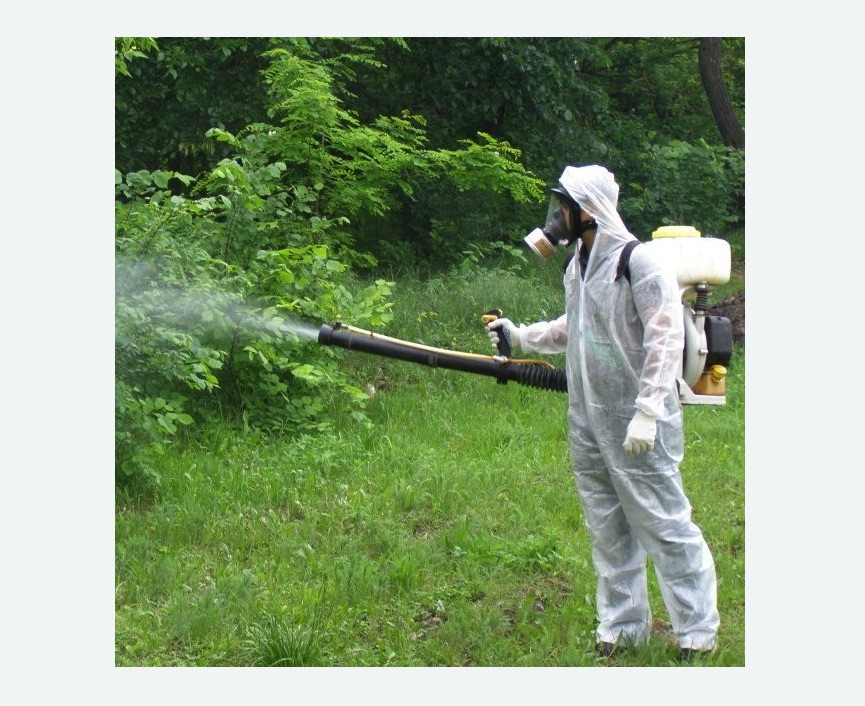 обработка территории от клещей в Острогожске