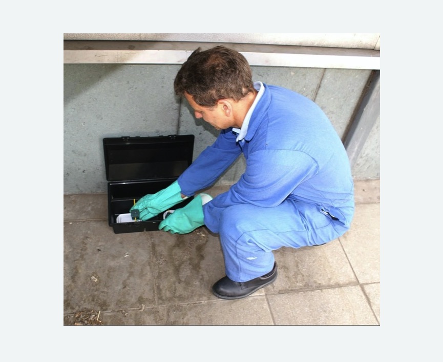 Уничтожение мышей в Острогожске Уничтожение мышей