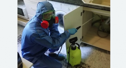 Уничтожение муравьев в квартире. Острогожск