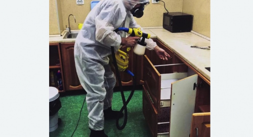 Уничтожение насекомых в квартире. Острогожск