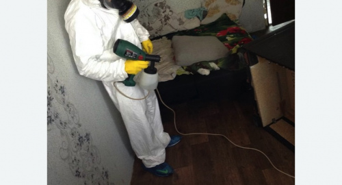 Обработка квартир от насекомых в Острогожске