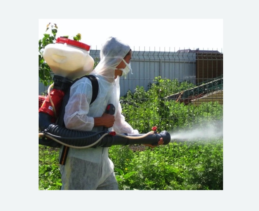 Акарицидная обработка территории в Острогожске