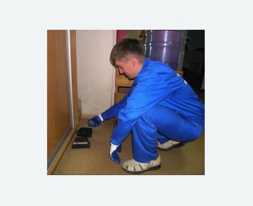 Дератизация крыс в Острогожске