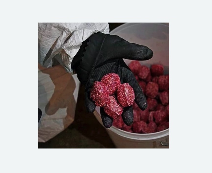 Обработка от крыс в Острогожске