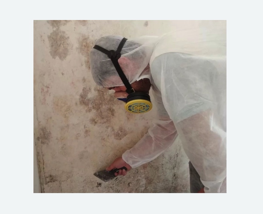 Обработка стен от плесени в Острогожске