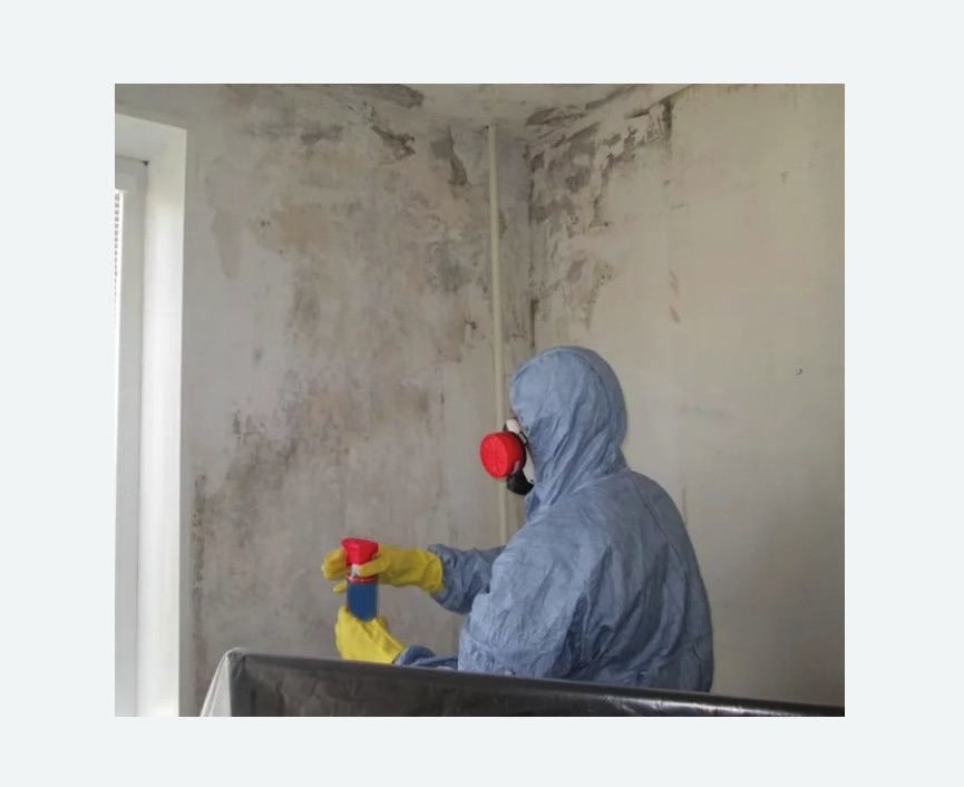 Удаление плесени в квартире в Острогожске