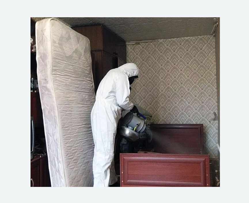 дезинфекция от клопов в Острогожске