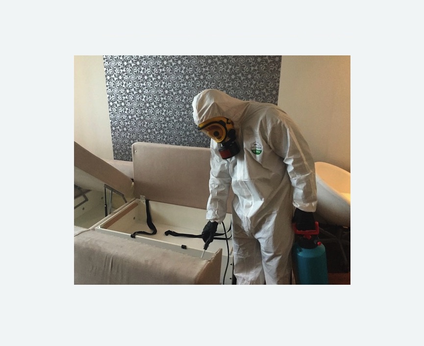 уничтожение клопов в квартире в Острогожске