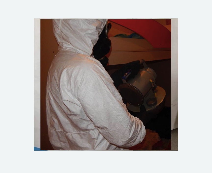 Дезинфекция от муравьев в Острогожске