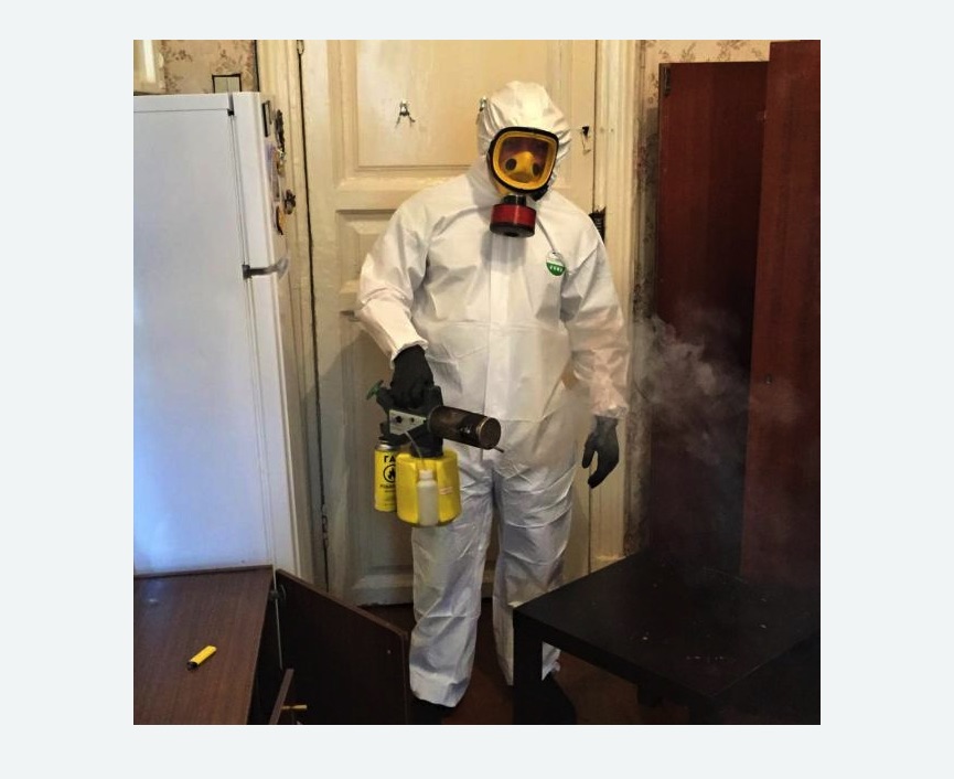 уничтожение муравьев в квартире в Острогожске